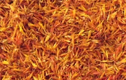 Dried Flowers