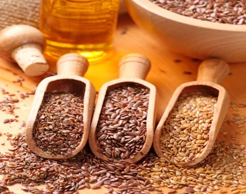 Oil Seeds